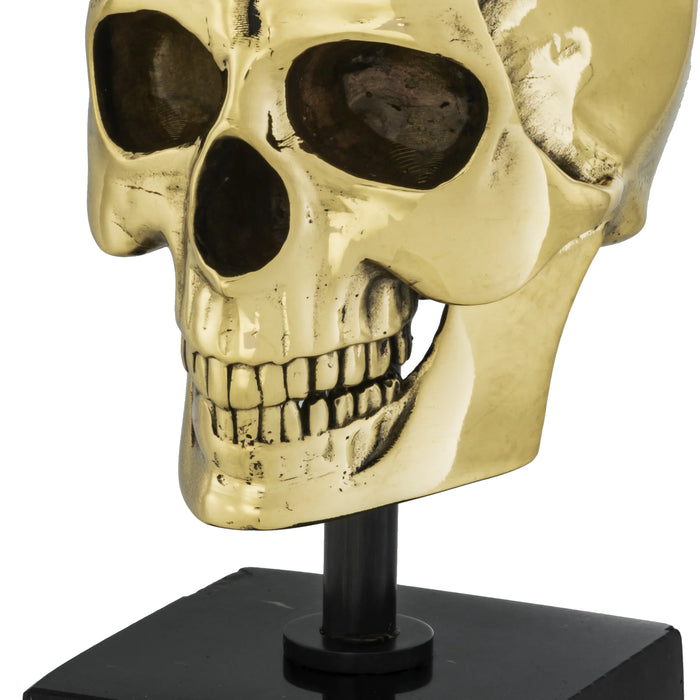 Dekoracja Philipp Plein Skull S