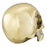 Dekoracja Philipp Plein Gold Skull