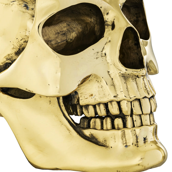 Dekoracja ścienna Philipp Plein Skull