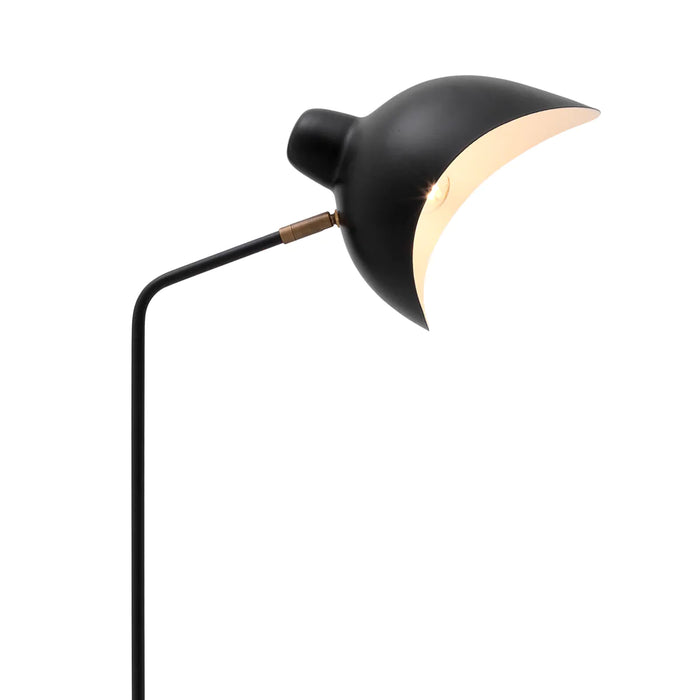 Black finish | antique brass finish | black marble base