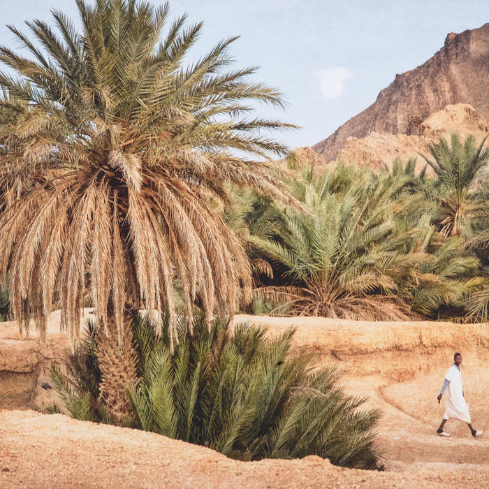Fotoobraz Eichholtz Moroccan Oasis