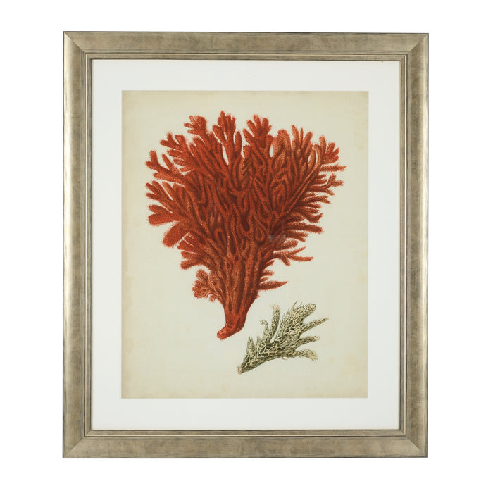 Fotoobraz Eichholtz Antique Red Corals, zestaw 6 szt.