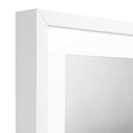 Fotoobraz EC263 Vogue, 1956 I