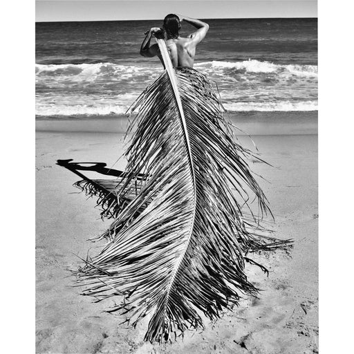 Fotoobraz Eichholtz Philippe Vogelenzang - Salvador