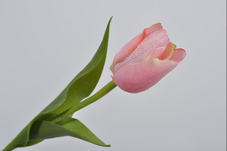 Tulipan różowy 36 cm