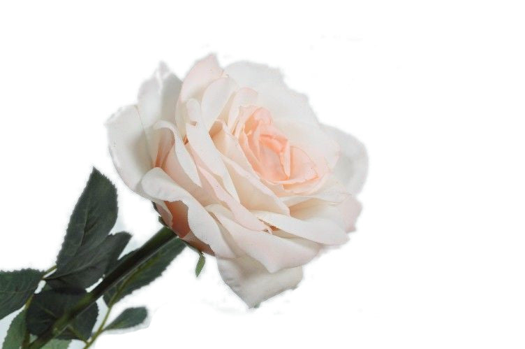 Róża w beżowym kolorze 36 cm