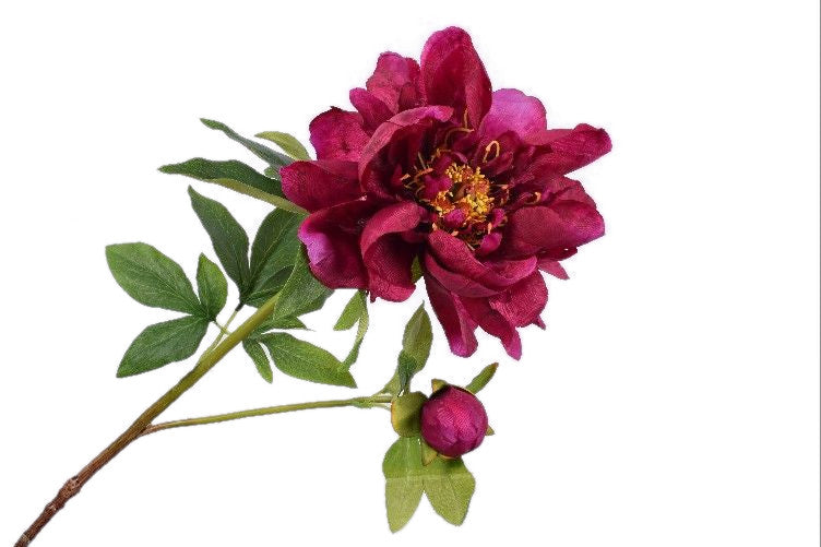 Peonia fioletowa 72 cm